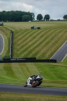 Advanced Group White Bikes